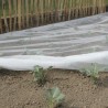 Trebor Sieť BIOCONTROL proti hmyzu 2,2x10m 110820