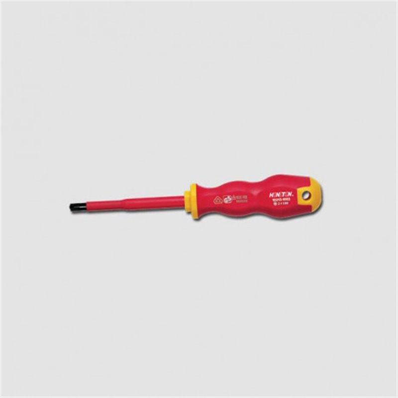 HONITON Skrutkovač PZ1000V S2 SL6 2x100 HW10213-1002