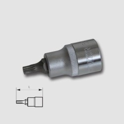 Trebor Hlavica 1/2&quot M12  XZN zástrčná H1812
